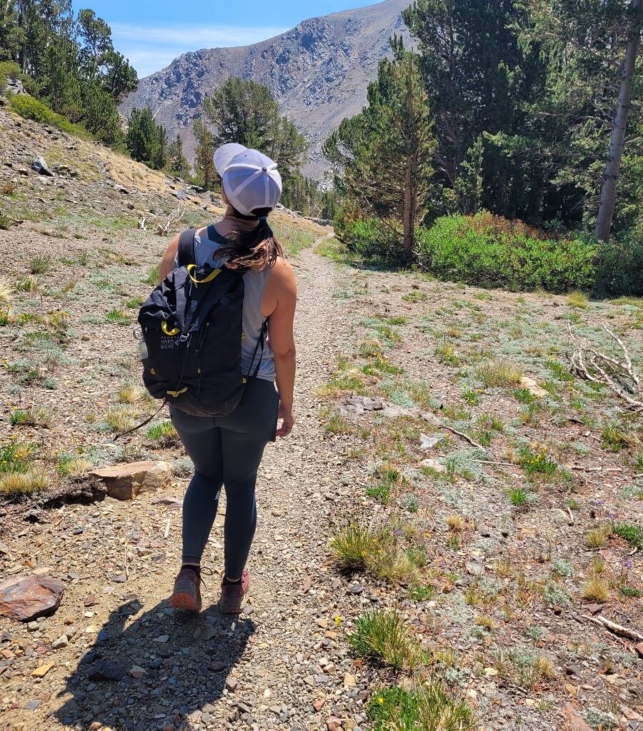 Hiker on the Mono Pass Trail in Yosemite National Park.