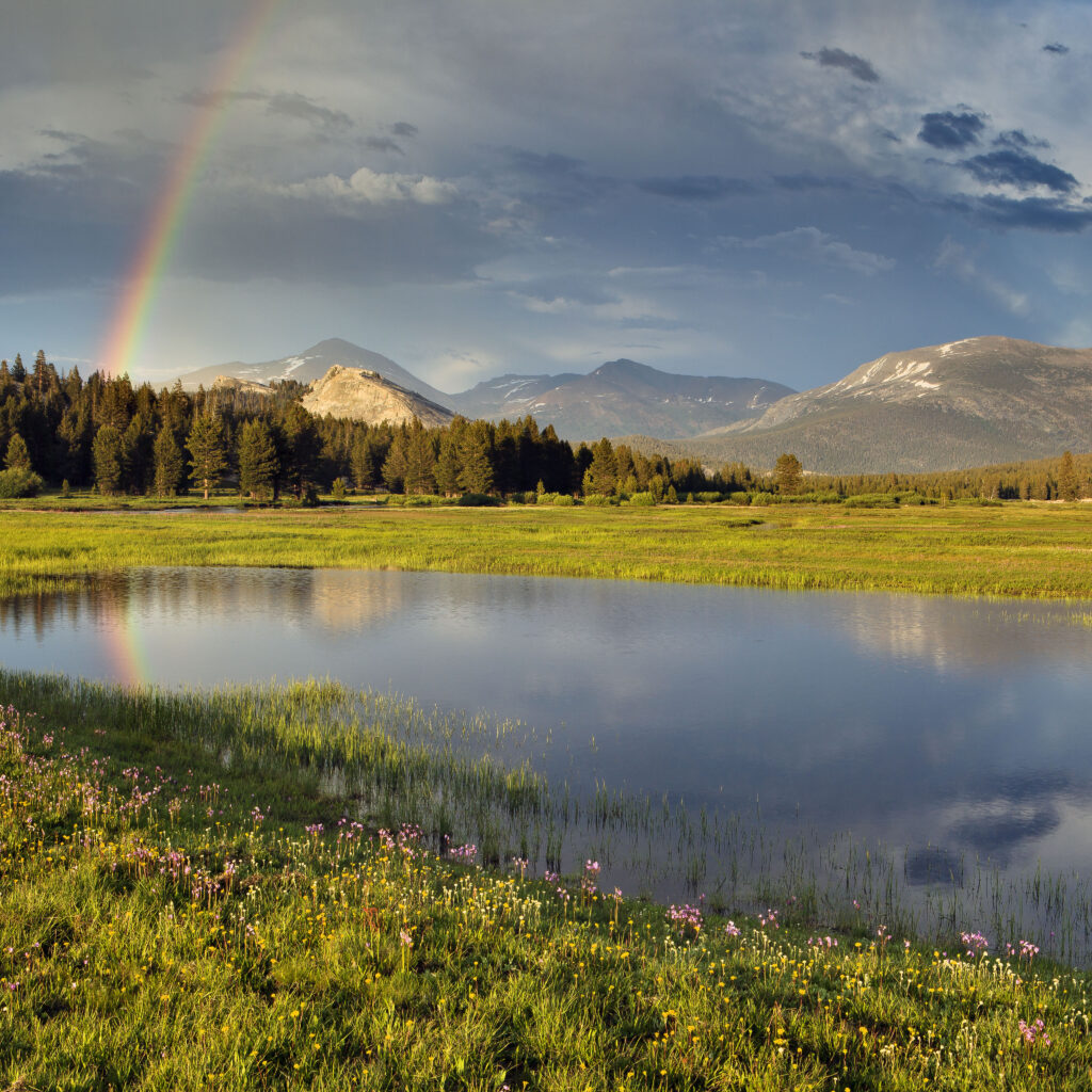 Rainbow over Tuolumne Meadows, Yosemite National Park (Rob Hirsch Photography)