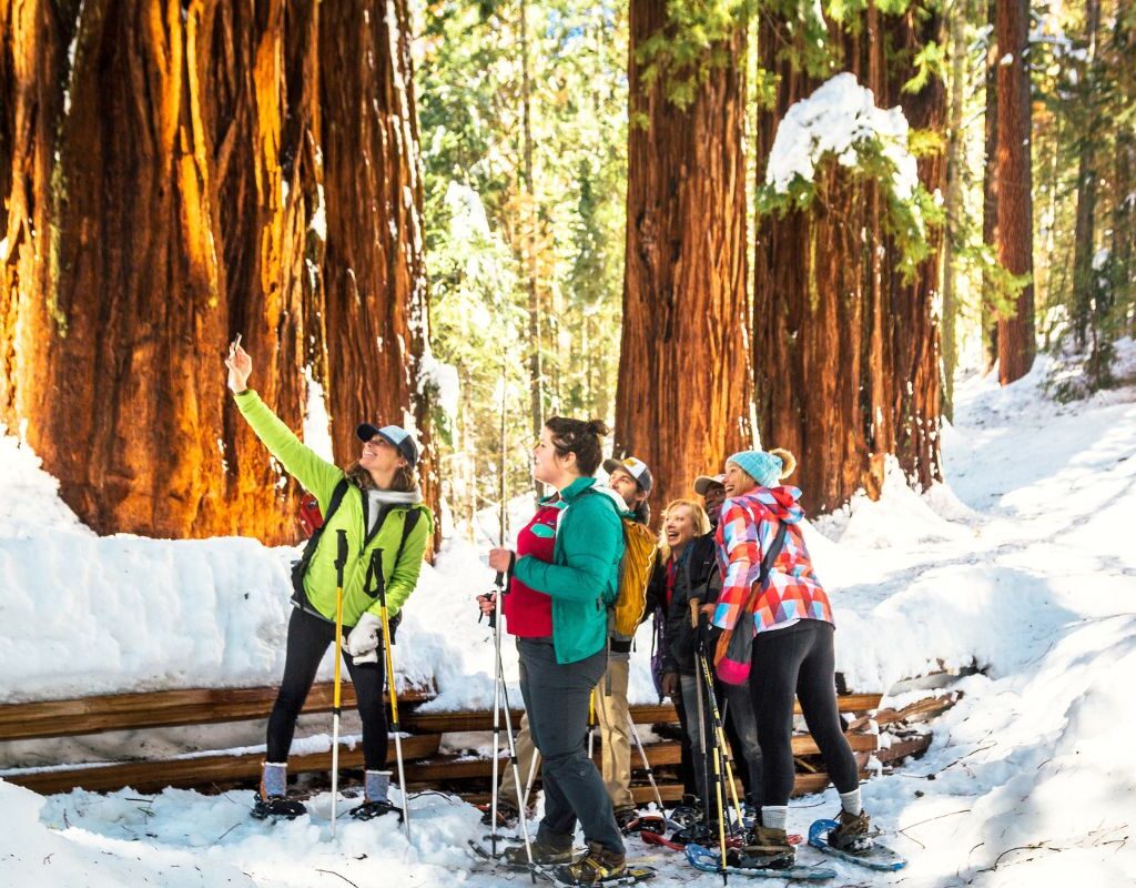 Giant Sequoia Snowshoe Selfie (Kim Carroll)