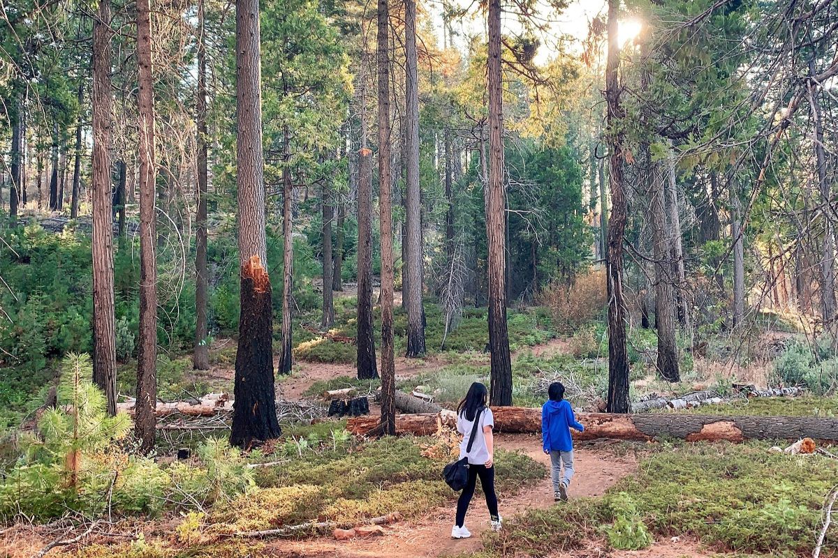 Nature trail hikers in Yosemite National Park.