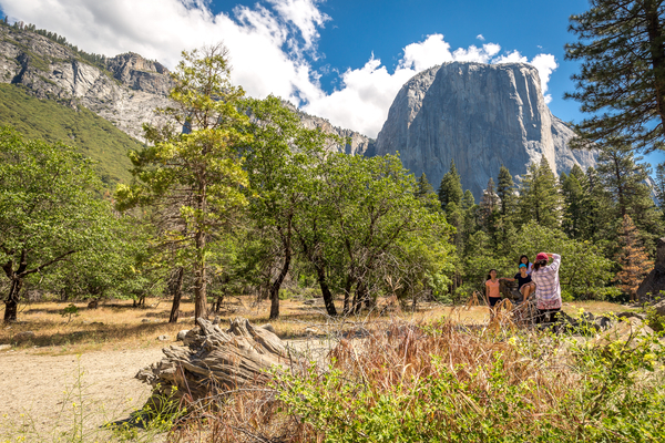 Yosemite El Capitan Meadow (Kim Carroll Photography)