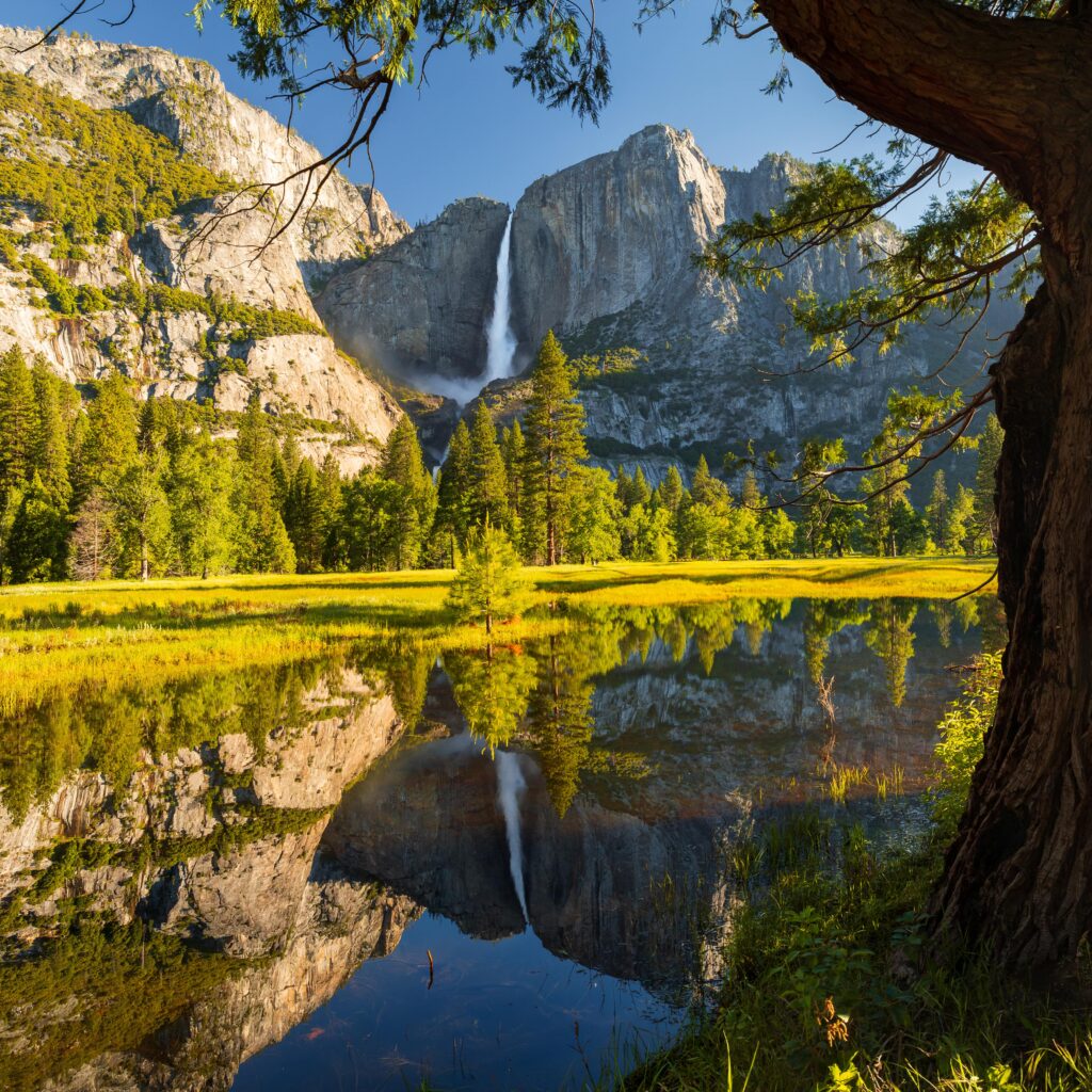 Yosemite Falls reflection.